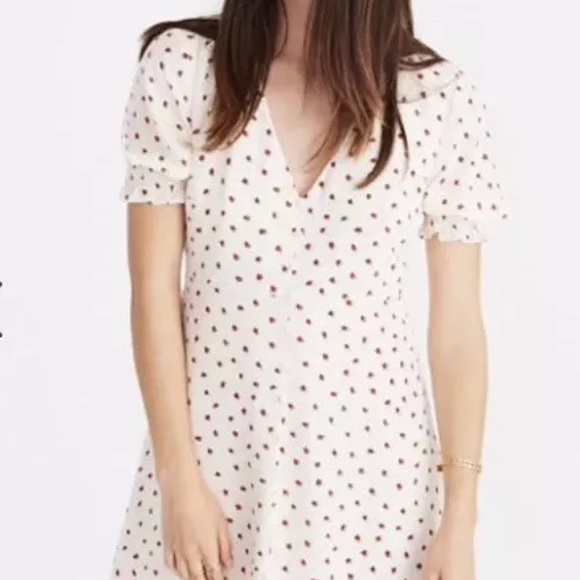 Madewell Dresses & Skirts - Madewell Silk Strawberry Dress Size 4